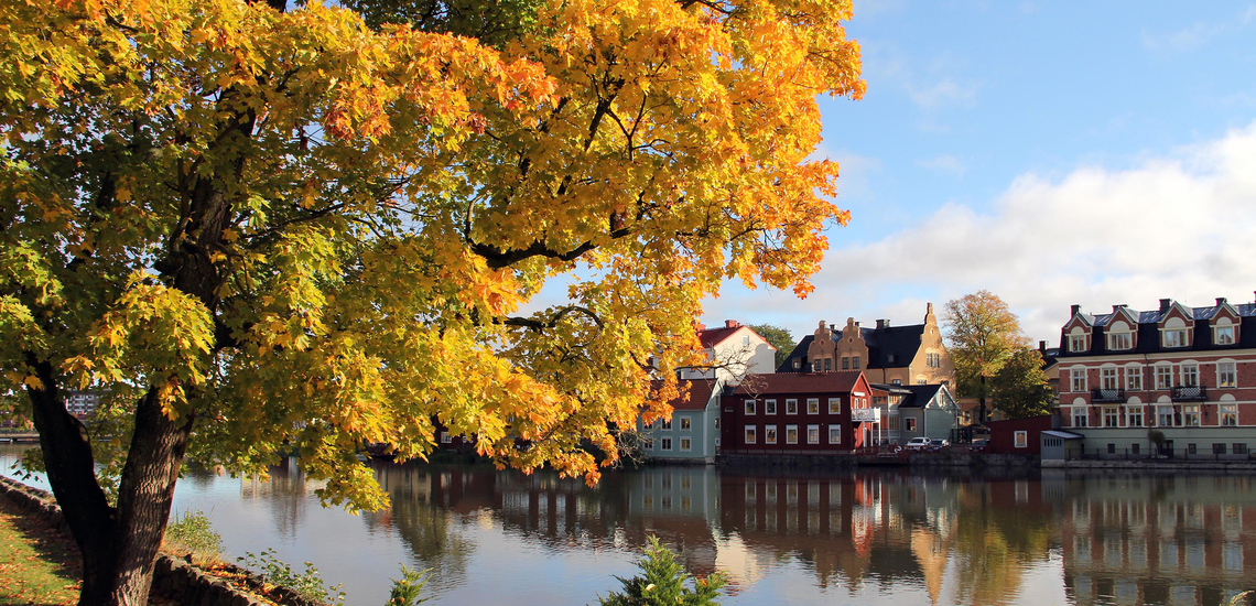 Vy av hus i Gamla stan på hösten.