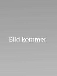 Gråruta som berättar att en bild kommer snart.