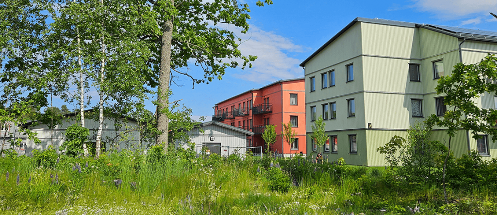 två färggranna trähus i en sommar miljö