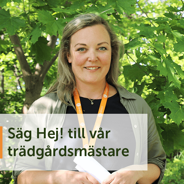 kfast trädgårdsmästare