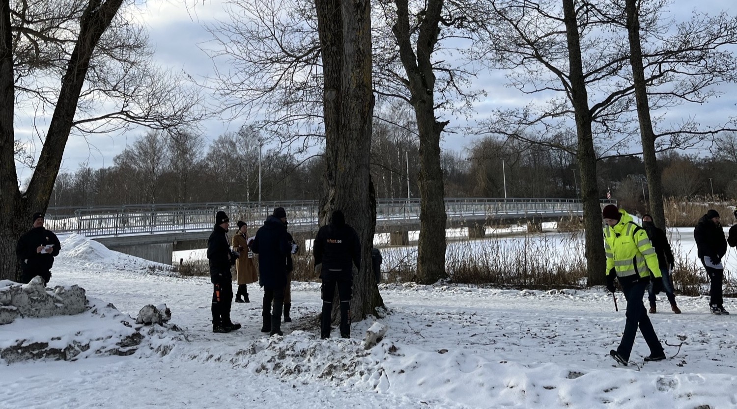 personal är ute och tittar på träd