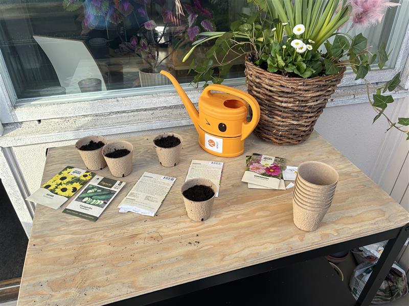 Ett bord fyllt med krukor, fröpåsar, blommor och vattenkanna.