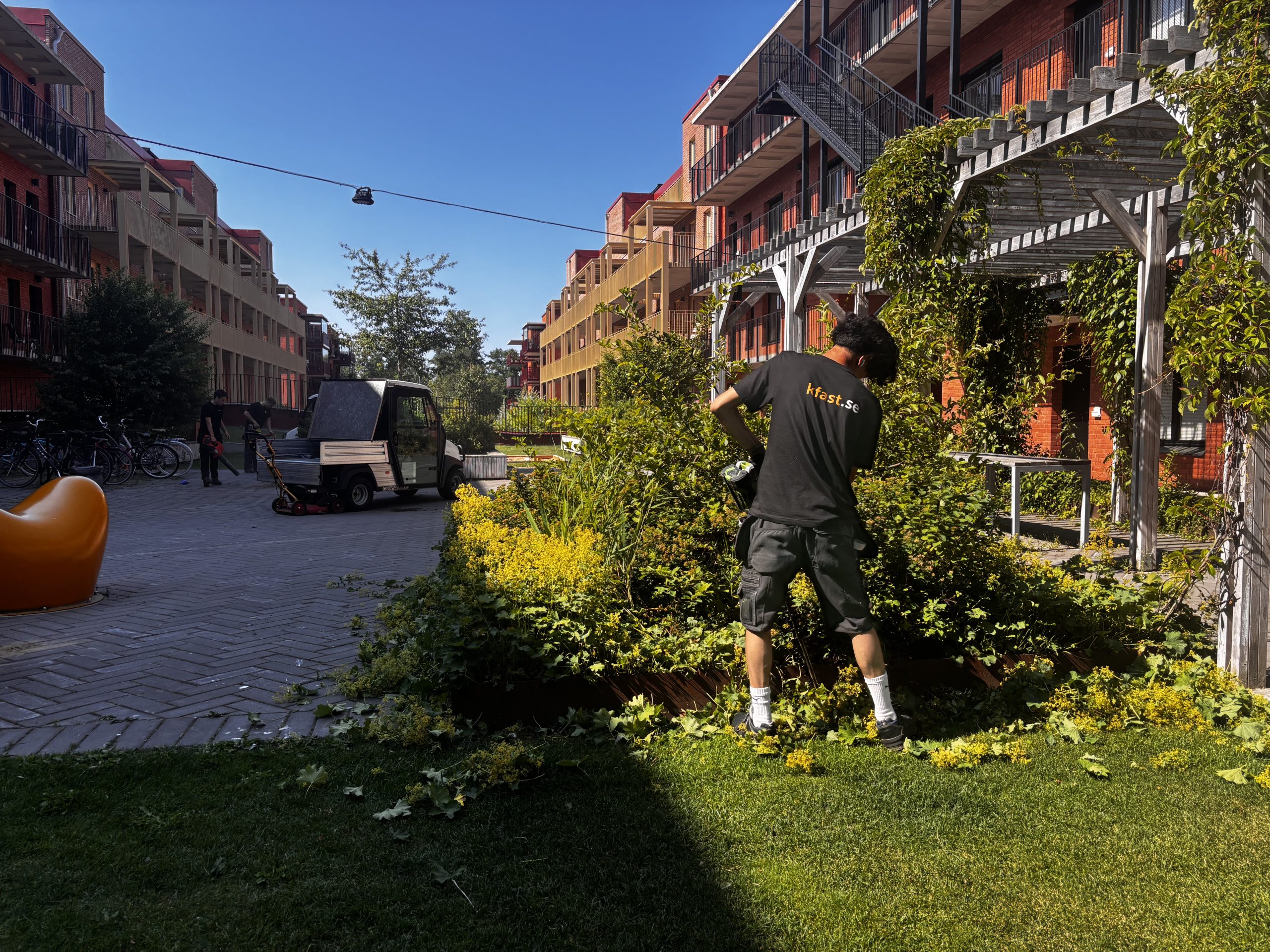Sommarjobbare jobbar med utemiljösskötsel